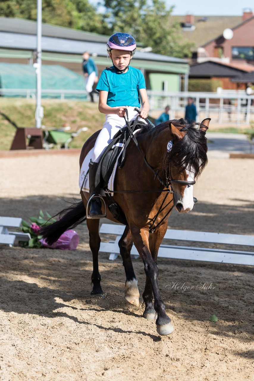 Bild 52 - Pony Akademie Turnier